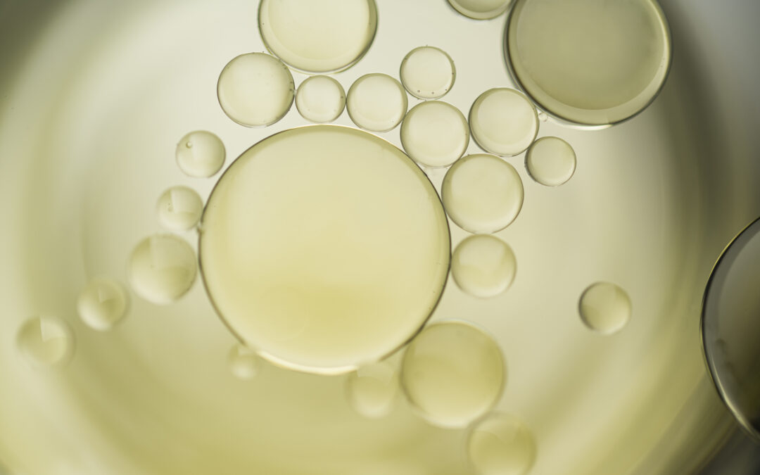 Development of High Palmitoleic (16:1 n-7) Acid Oil by Fermentation of Microalgae