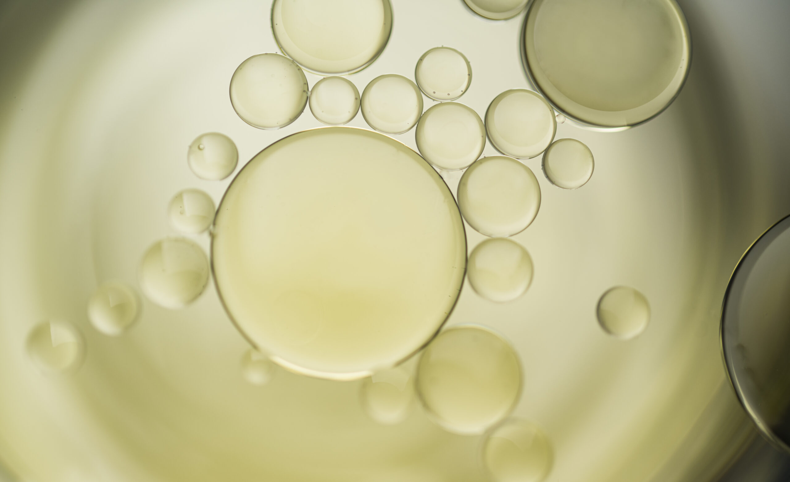 Development of High Palmitoleic (16:1 n-7) Acid Oil by Fermentation of Microalgae