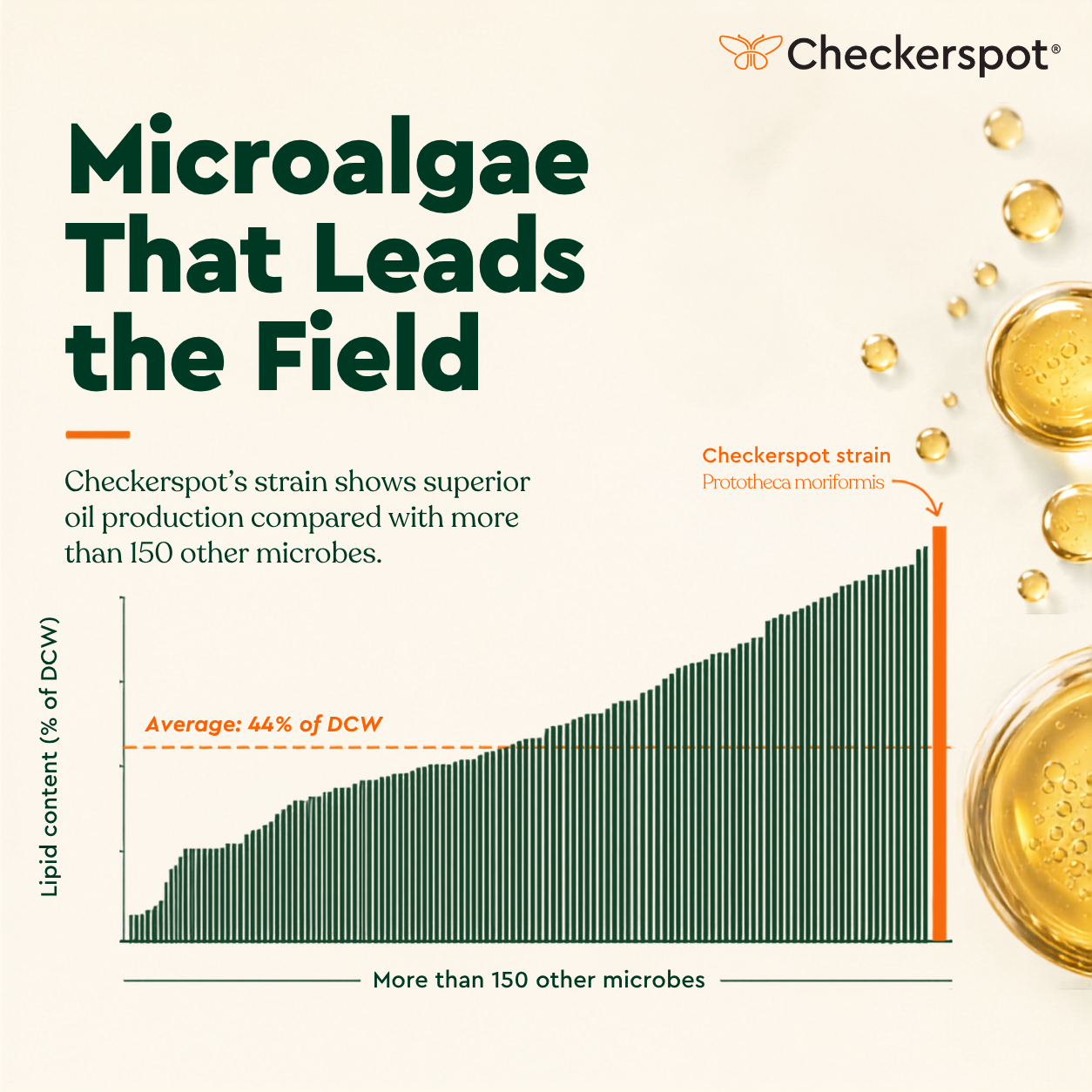 Graph showing how Prototheca moriformis outperforms 150 other oil producing microbes.